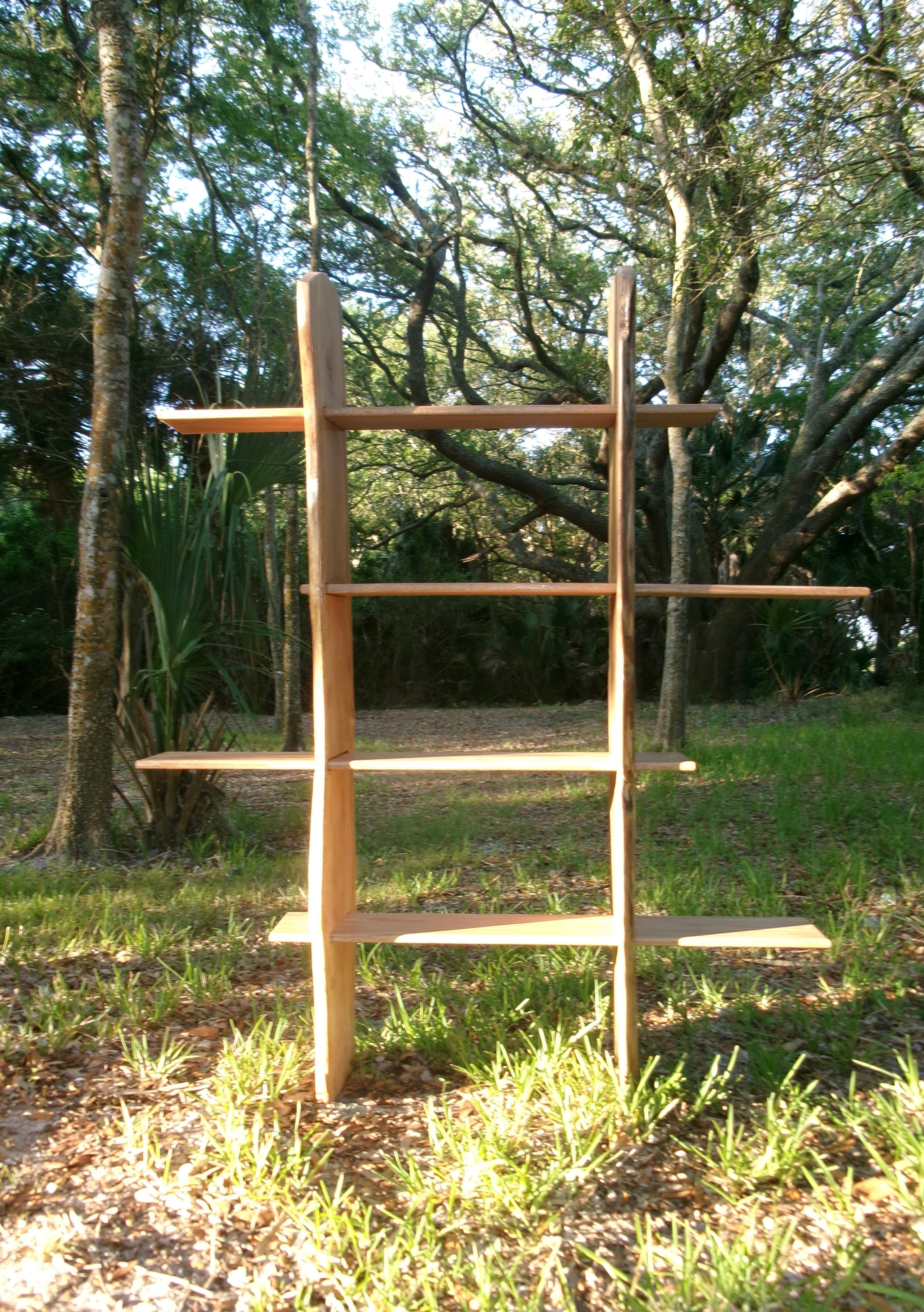 Sweetgum Bookshelf