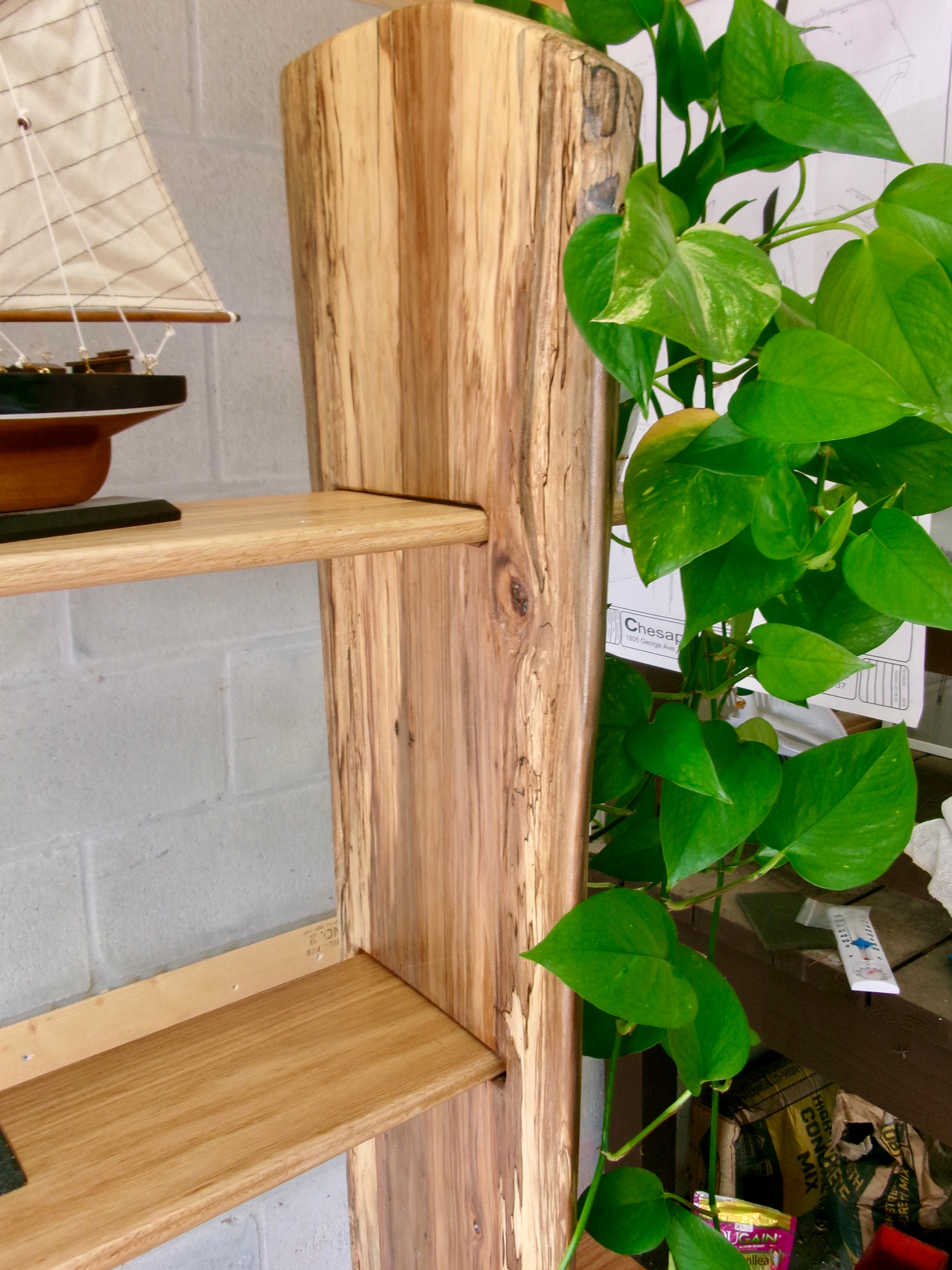 Sweetgum Bookshelf