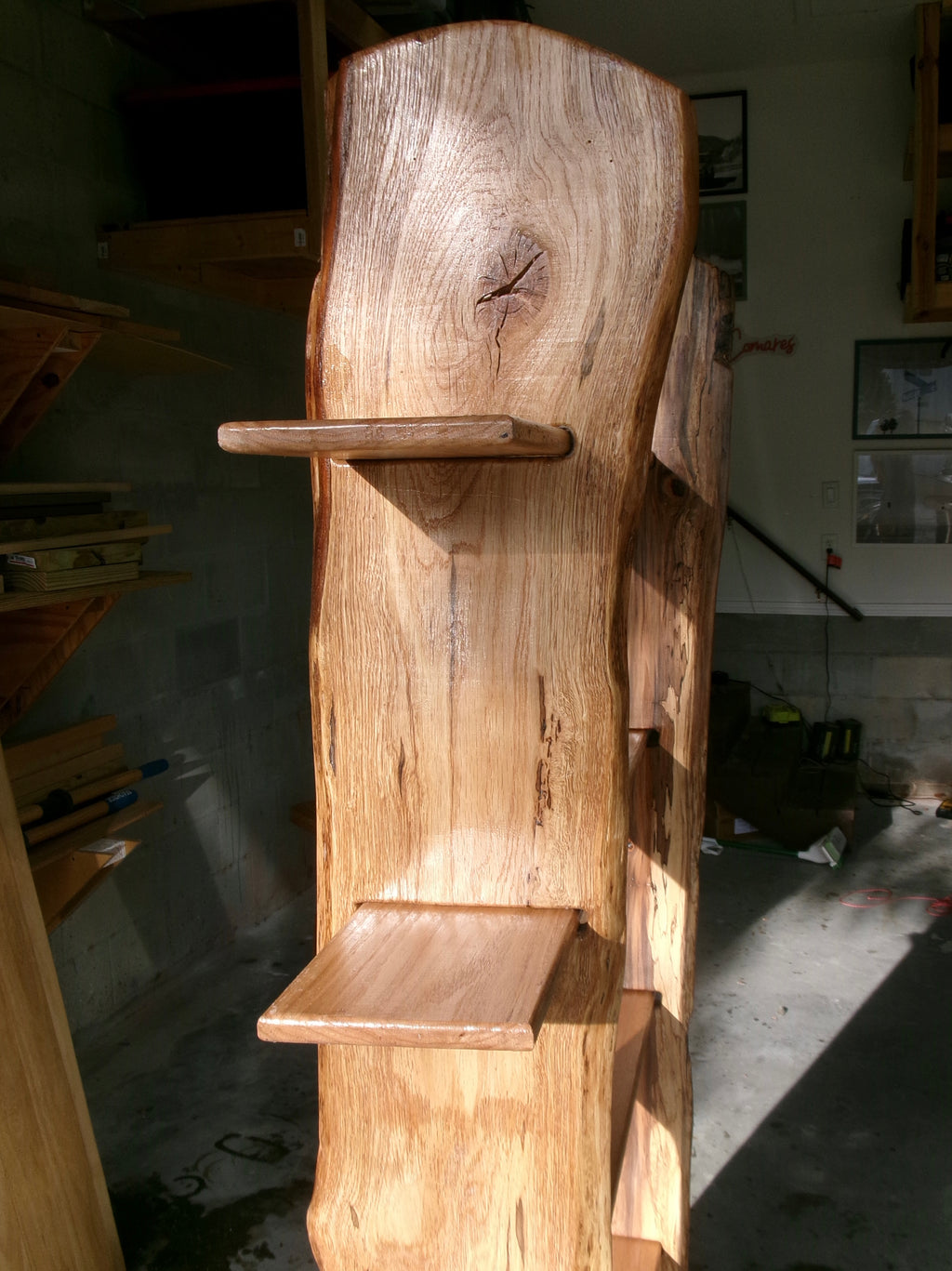 Sweetgum Bookshelf